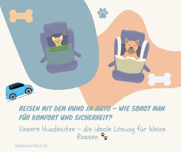 Reisen mit dem Hund im Auto – wie sorgt man für Komfort und Sicherheit? 🚗🐶