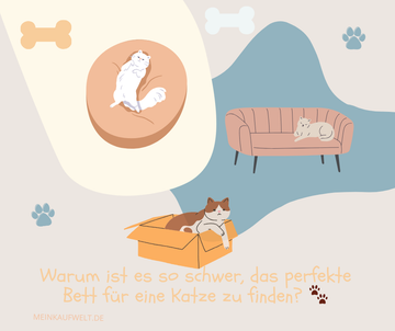 Warum ist es so schwer, das perfekte Bett für eine Katze zu finden? 🐾