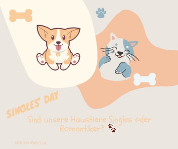 Singles' Day: Sind unsere Haustiere Singles oder Romantiker? 🐾