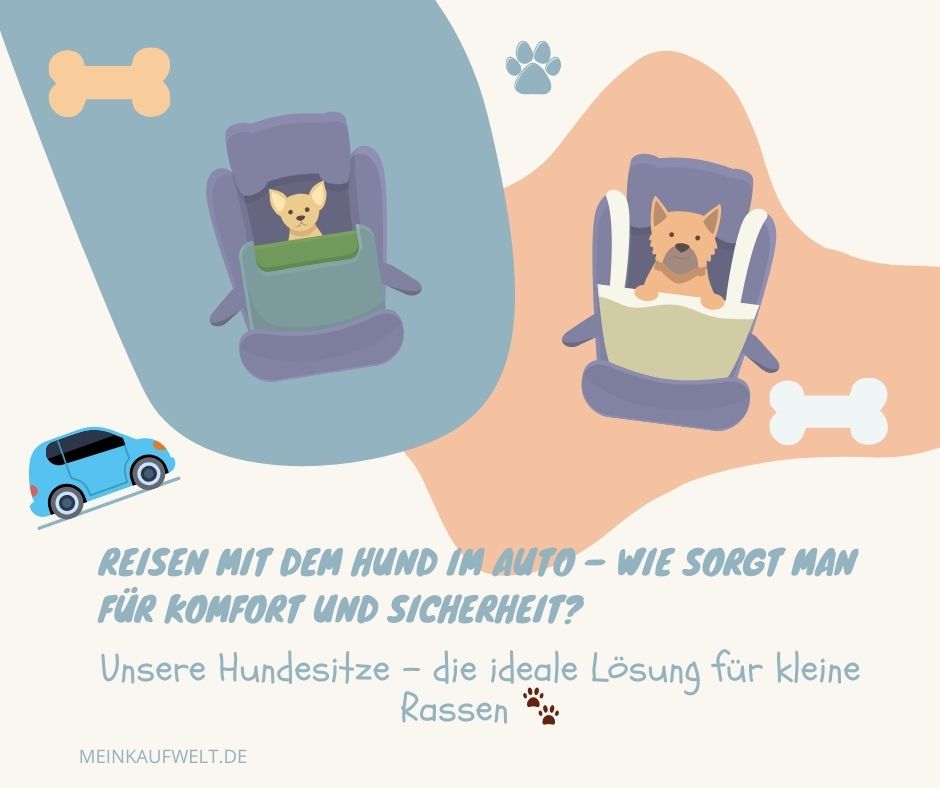 Reisen mit dem Hund im Auto – wie sorgt man für Komfort und Sicherheit? 🚗🐶
